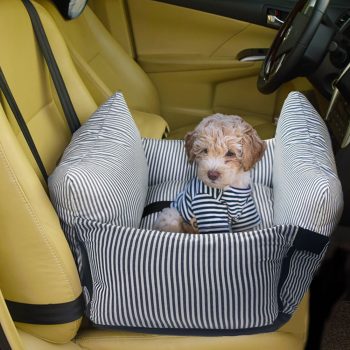 car seat booster seat for dogs 13