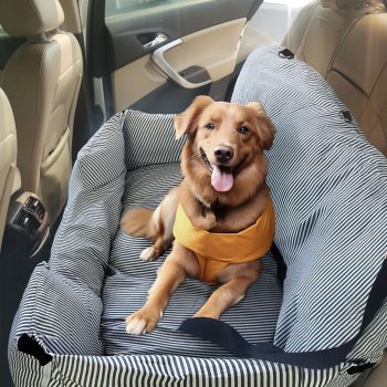 large dog bed 3