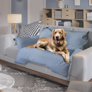 large dog bed 7
