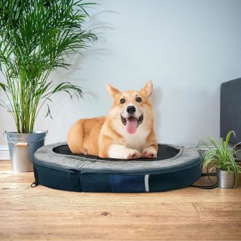 trip dog bed 04