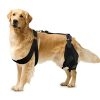dog knee pads 671