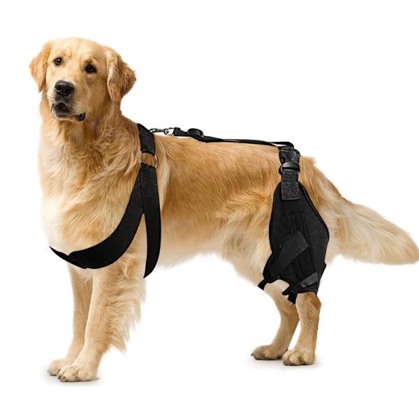 Dog Knee Protector for Running, Jumping & Recovery
