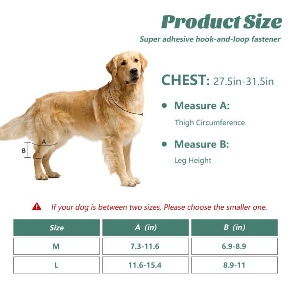 Dog Knee Protector for Running, Jumping & Recovery - Image 4