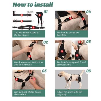 dog knee pads 675