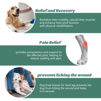 dog knee pads 676