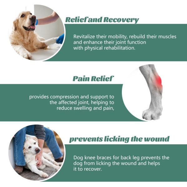 Dog Knee Protector for Running, Jumping & Recovery - Image 7