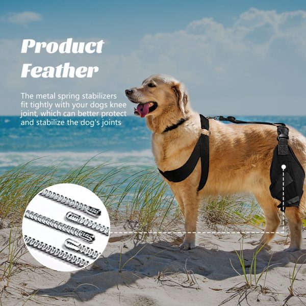 Dog Knee Protector for Running, Jumping & Recovery - Image 9