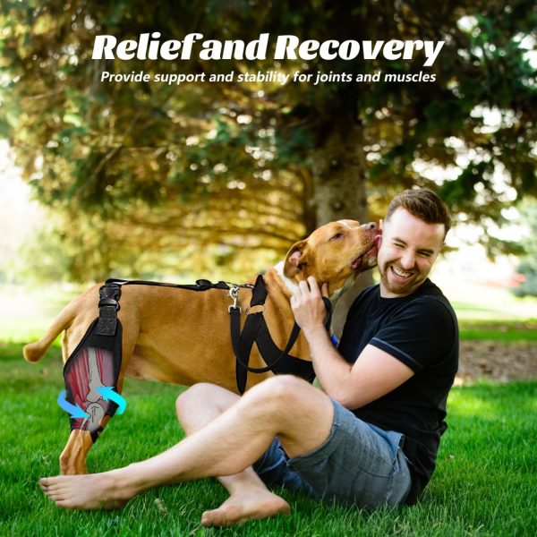 Dog Knee Protector for Running, Jumping & Recovery - Image 10
