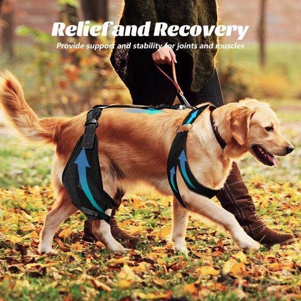 Dog Knee Protector for Running, Jumping & Recovery - Image 2