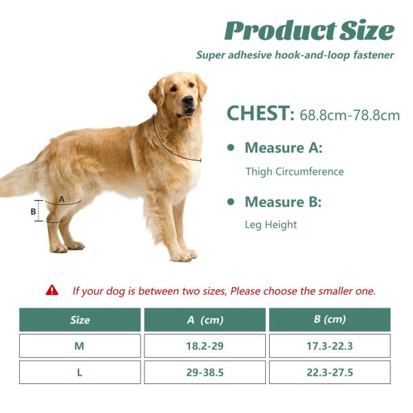 Dog Knee Protector for Running, Jumping & Recovery - Image 11