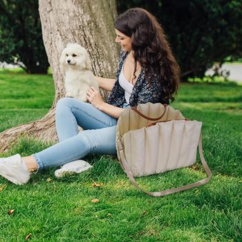 pet bag for travel 06