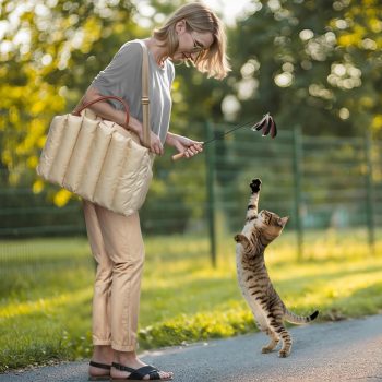 pet bag for travel 09