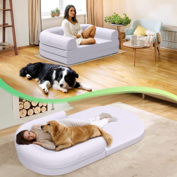 2-in-1 Memory Foam Dog & Human Bed - Foldable & Washable - Image 2