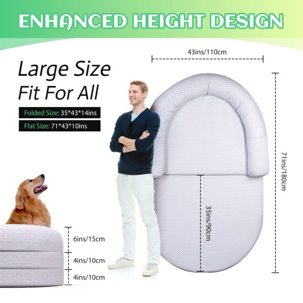 2-in-1 Memory Foam Dog & Human Bed - Foldable & Washable - Image 3
