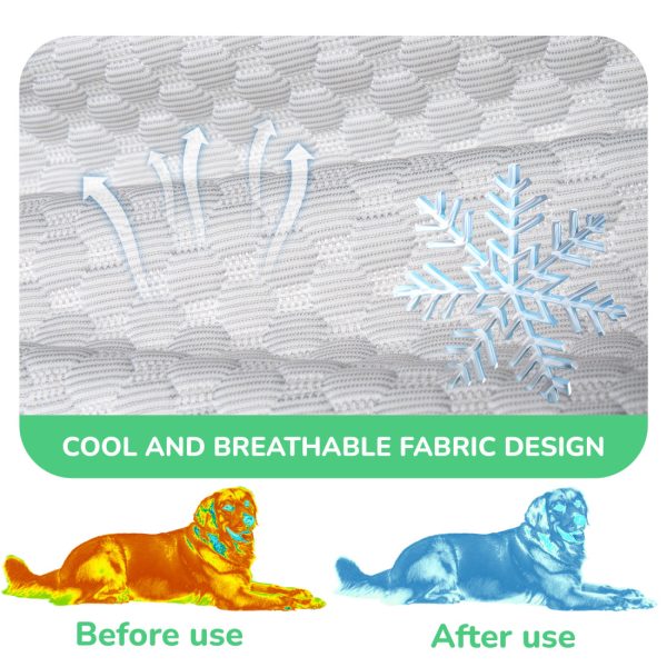 2-in-1 Memory Foam Dog & Human Bed - Foldable & Washable - Image 4