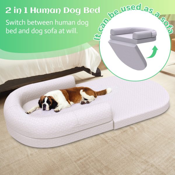 2-in-1 Memory Foam Dog & Human Bed - Foldable & Washable - Image 6
