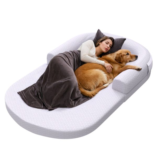 2-in-1 Memory Foam Dog & Human Bed - Foldable & Washable - Image 15