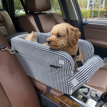 portable small pet car seat 2176