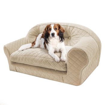 Luxurious and Comfortable Expandable Pet Couch Bed