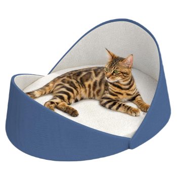 Large Shell Shaped Cat Couch - Modern Cat Bed