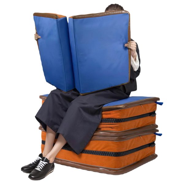 Foldable Book Shaped Floor Pillow Cushion, Unique Fun Gift